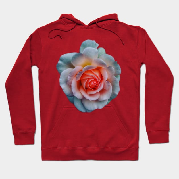 Favorite Rose Hoodie by okhismakingart_